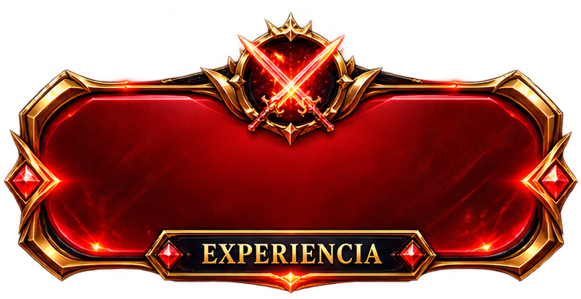 Experiencia